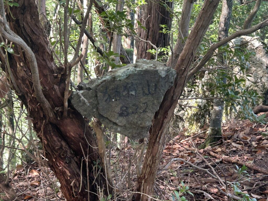 猪狩山山頂