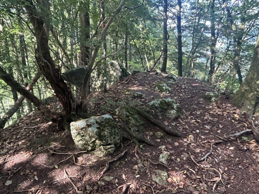 猪狩山山頂広場