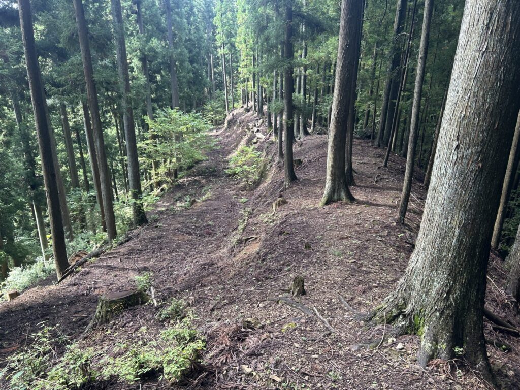 猪狩山からの登山道