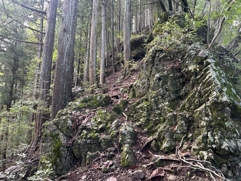 猪狩山登山道の岩場