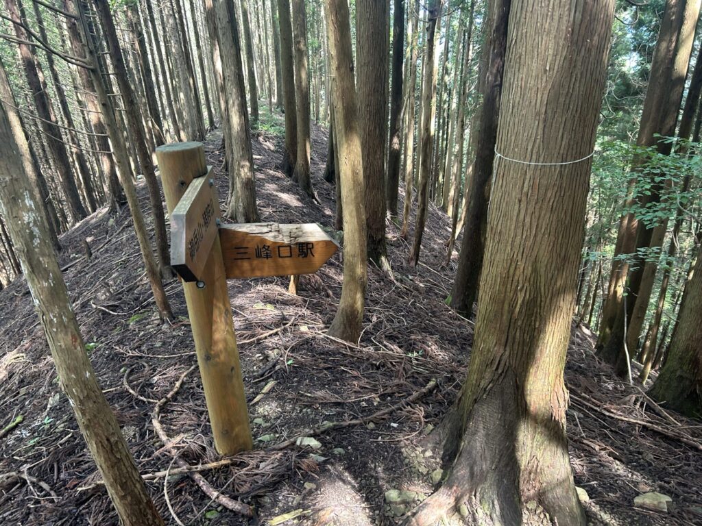 秩父御岳山から三峰口駅口へ下山