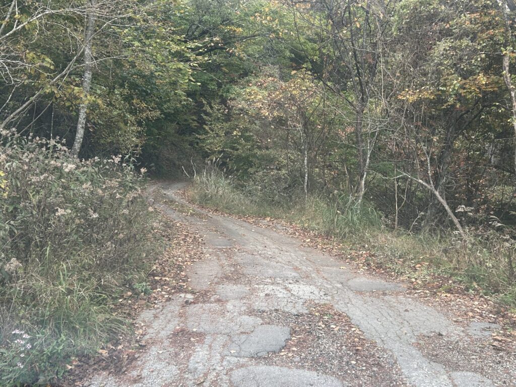 三国峠までの道