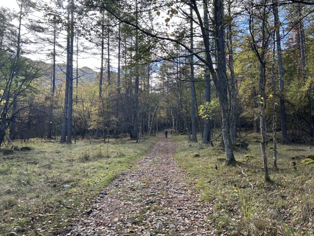毛木平の登山道