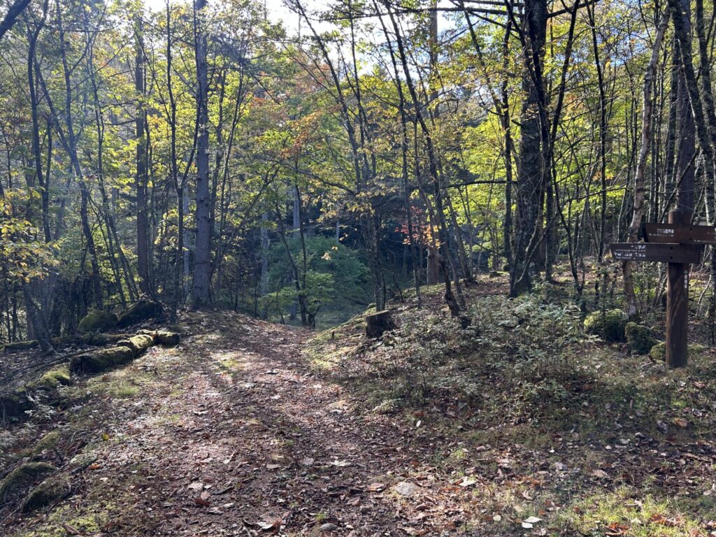 甲武信ヶ岳、十文字山分岐