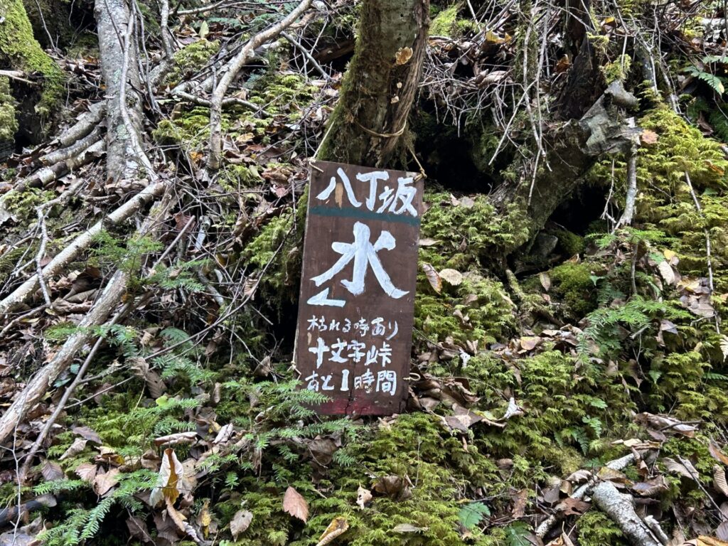 十文字山登山道八丁坂