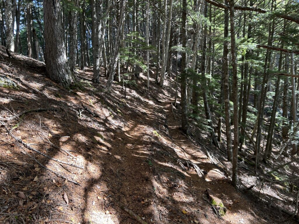 十文字小屋付近の登山道