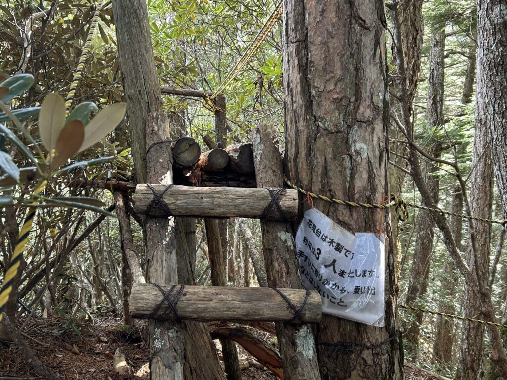 十文字山シャクナゲ花見台