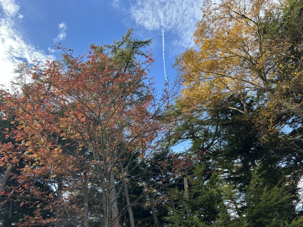 十文字小屋の紅葉