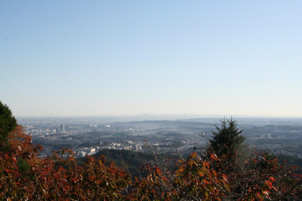 高尾山からの景色