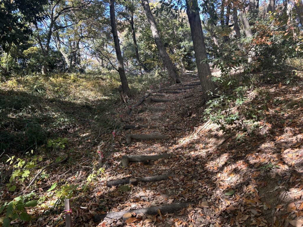 観音山登山道