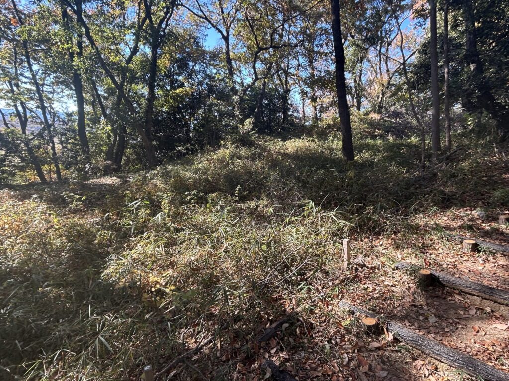 一等三角点がある茂み