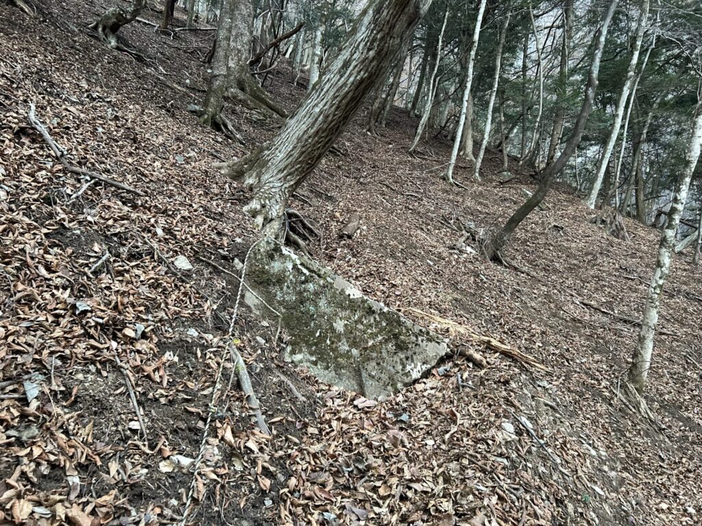 タワ尾根の一石山までの登山道