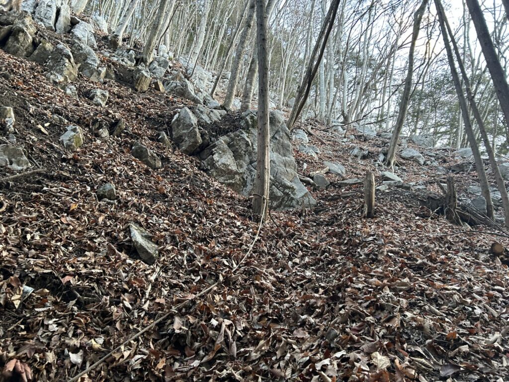 急登の登山道