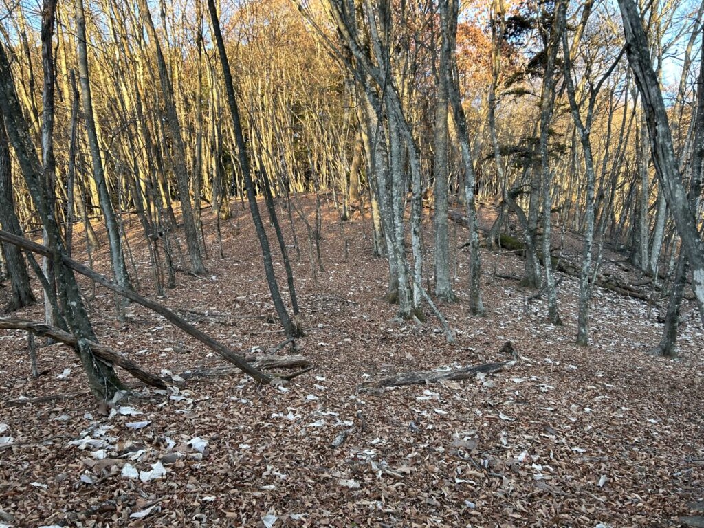 一石山から人形山までの登山道