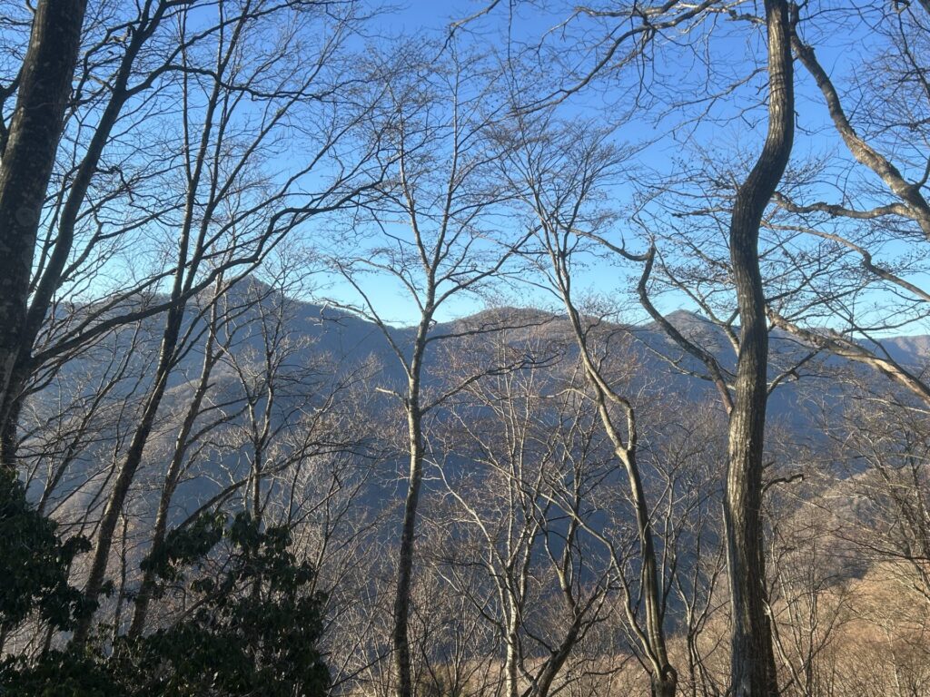 タワ尾根から見える鷹ノ巣山方面