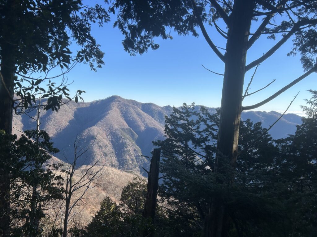 タワ尾根からの七跳山方面の稜線