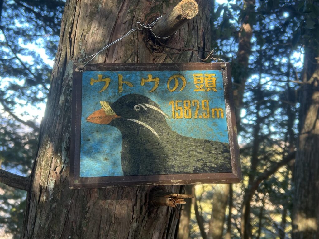 ウトウの頭山頂