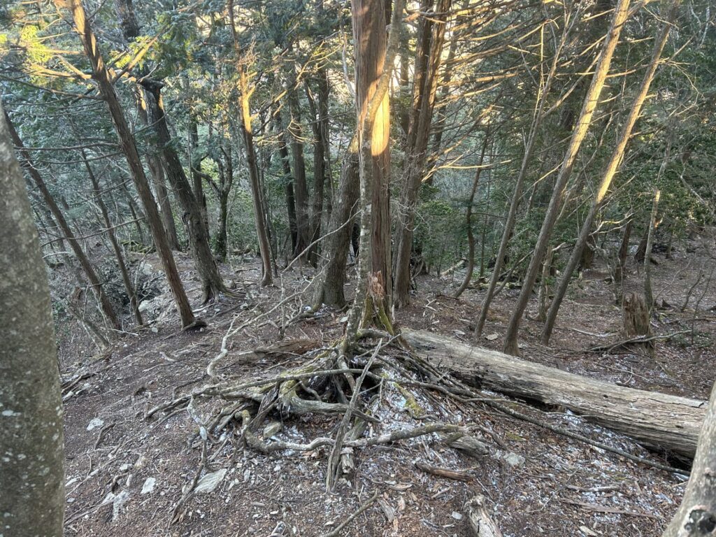 ウトウの頭からの登り返し