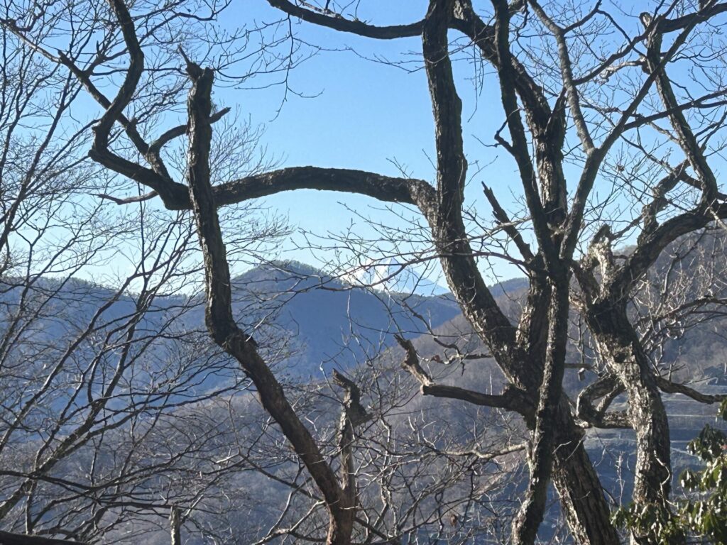 タワ尾根からの富士山