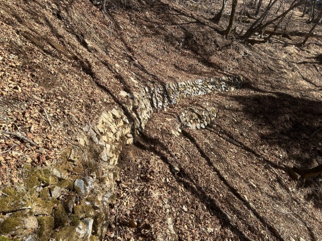 長沢背稜登山道