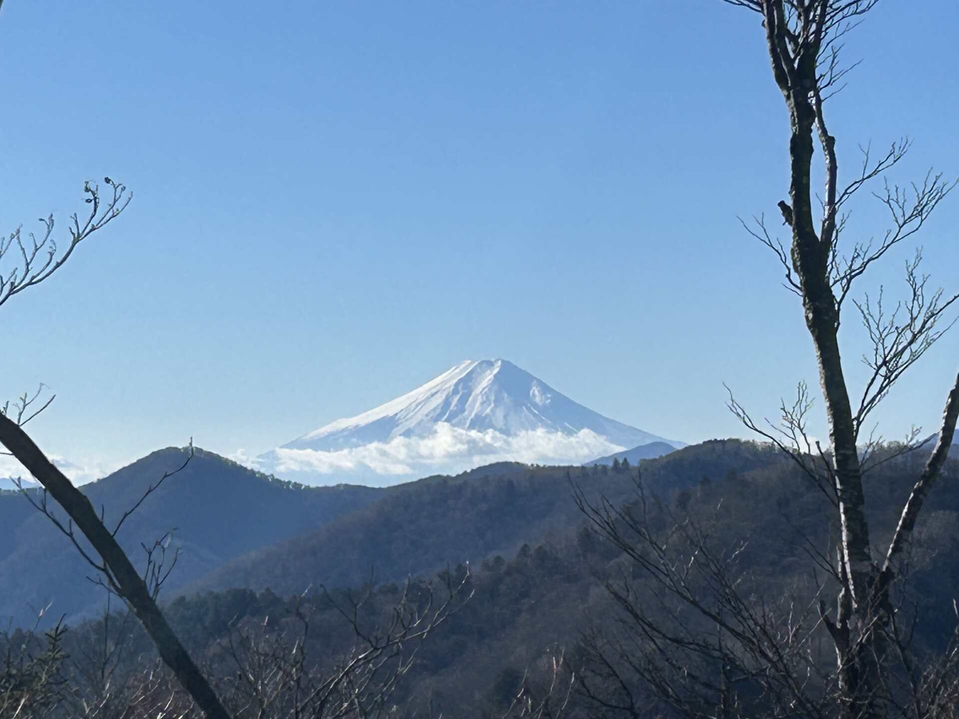 酉谷山からの富士山
