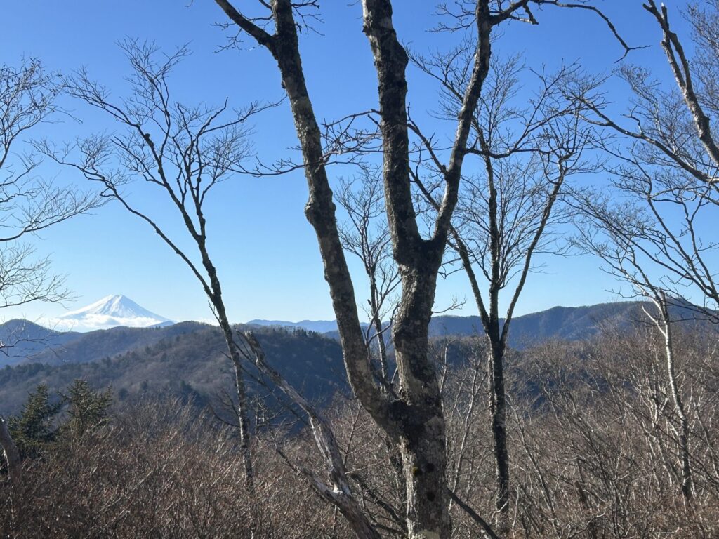 酉谷山からの富士山と雲取山の稜線