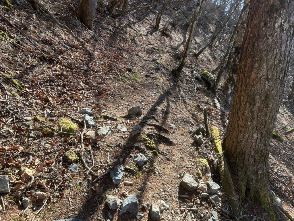 七跳山までの登山道