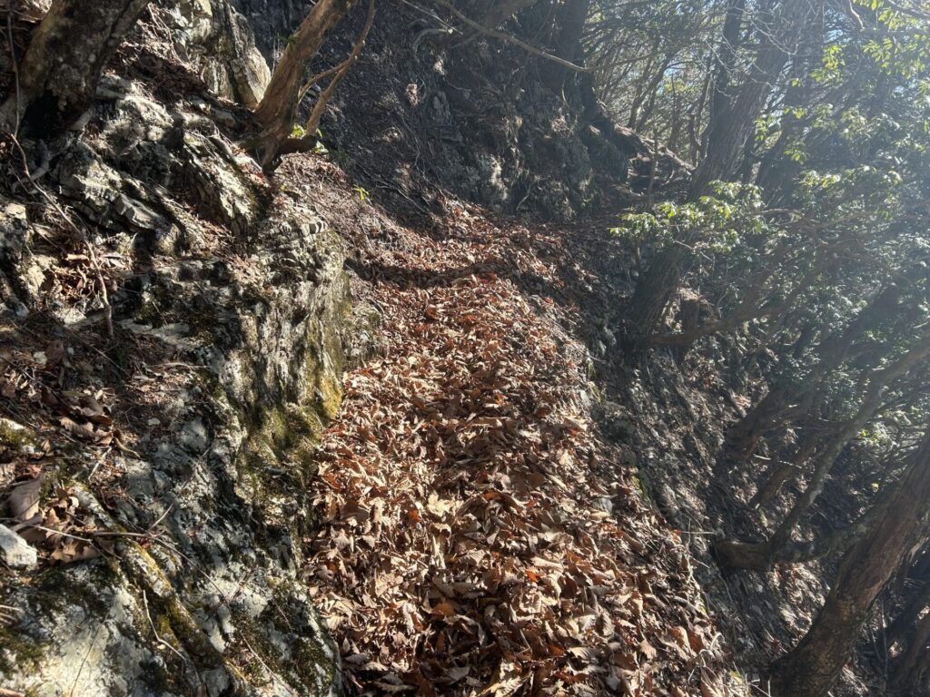 七跳山登山道の落ち葉ゾーン