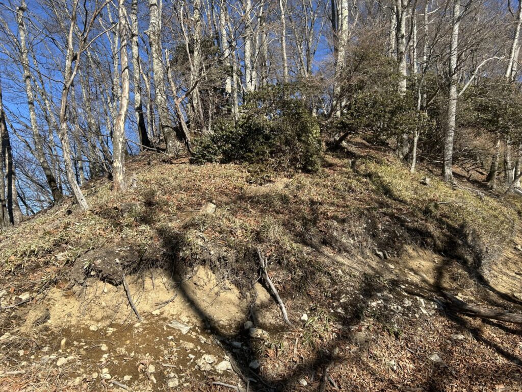 大平山直下の急登