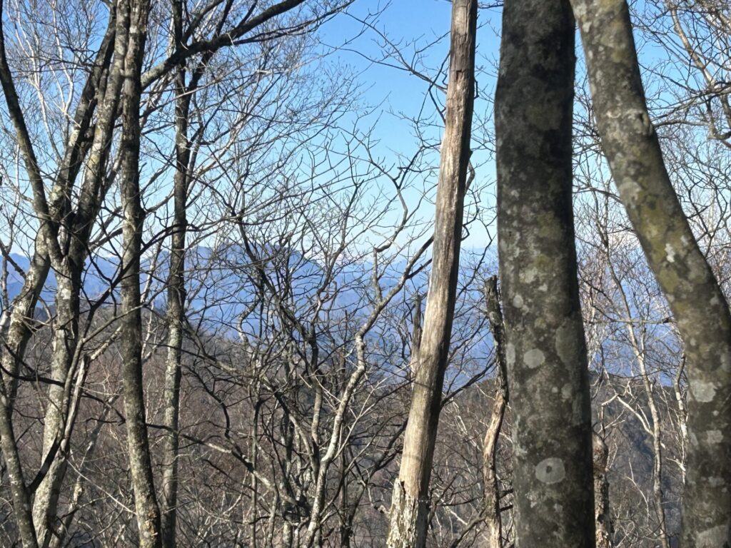 大平山からの景色