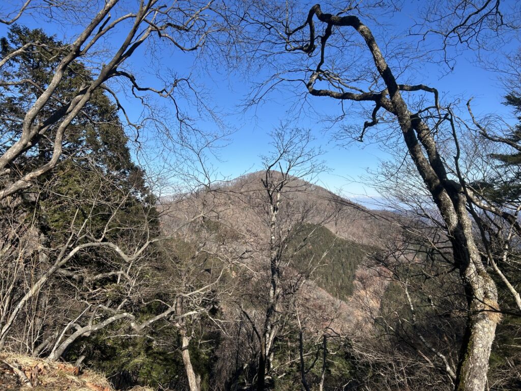 天目山登山道から見える大平山