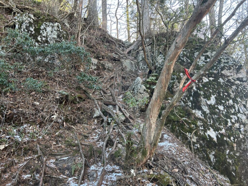 天目山最後の登り返し