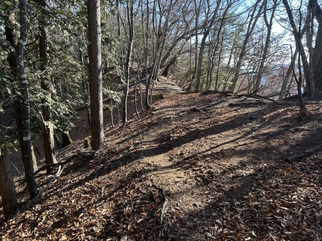 ヨコスズ尾根登山道