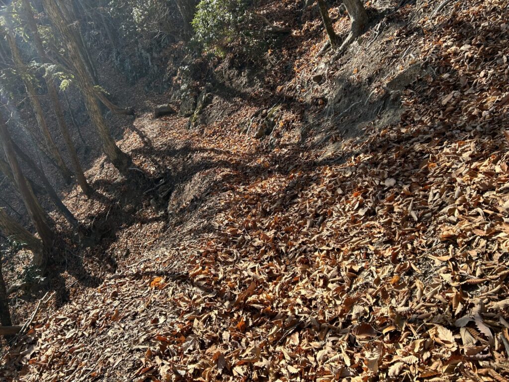 ヨコスズ尾根下山道